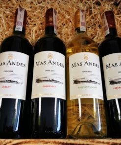 Mas Andes Rotschild Chile Zestaw Promocyjny 4 x 0,75