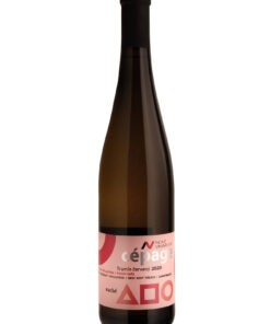 Cepage Tramín červený